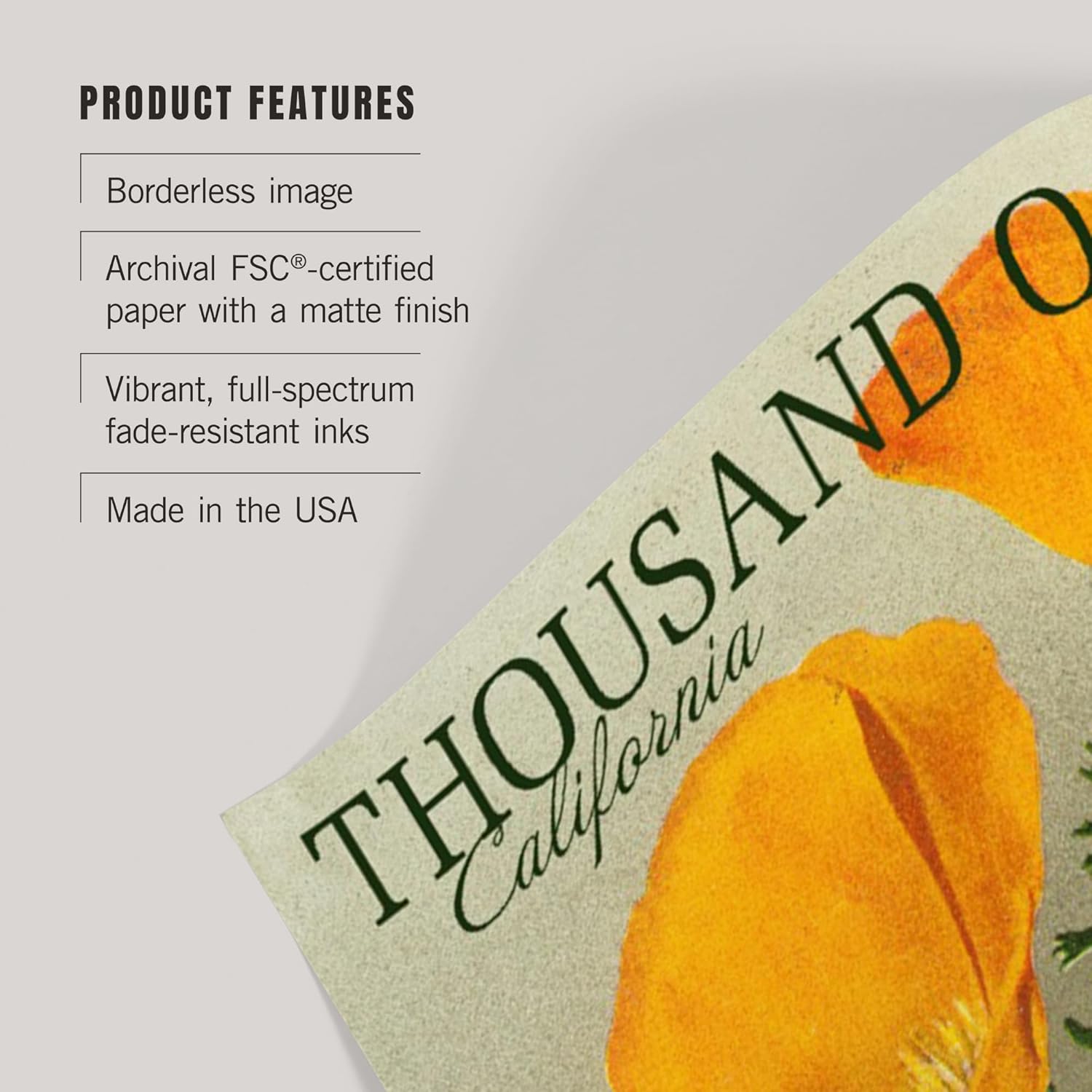 Lantern Press 16x24 Inch Giclee Art Print Wall Decor, Thousand Oaks, California, Poppy Flowers, Vintage Poster