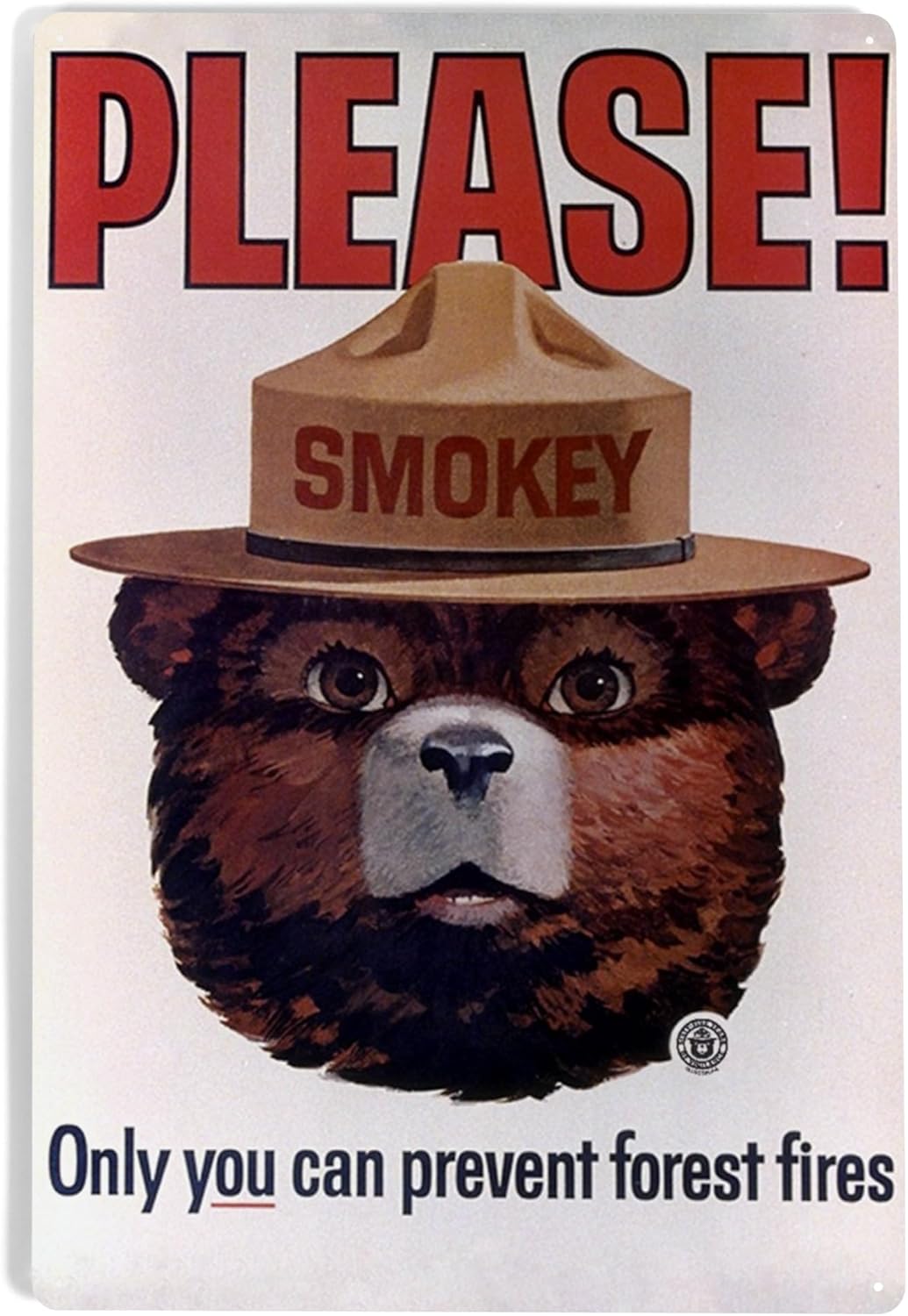 Lantern Press Smokey Bear, Please, Only You Can Help, Smokey Head, Officially Licensed Vintage Poster, 12x18 Inch Aluminum Sign, Indoor or Outdoor Use