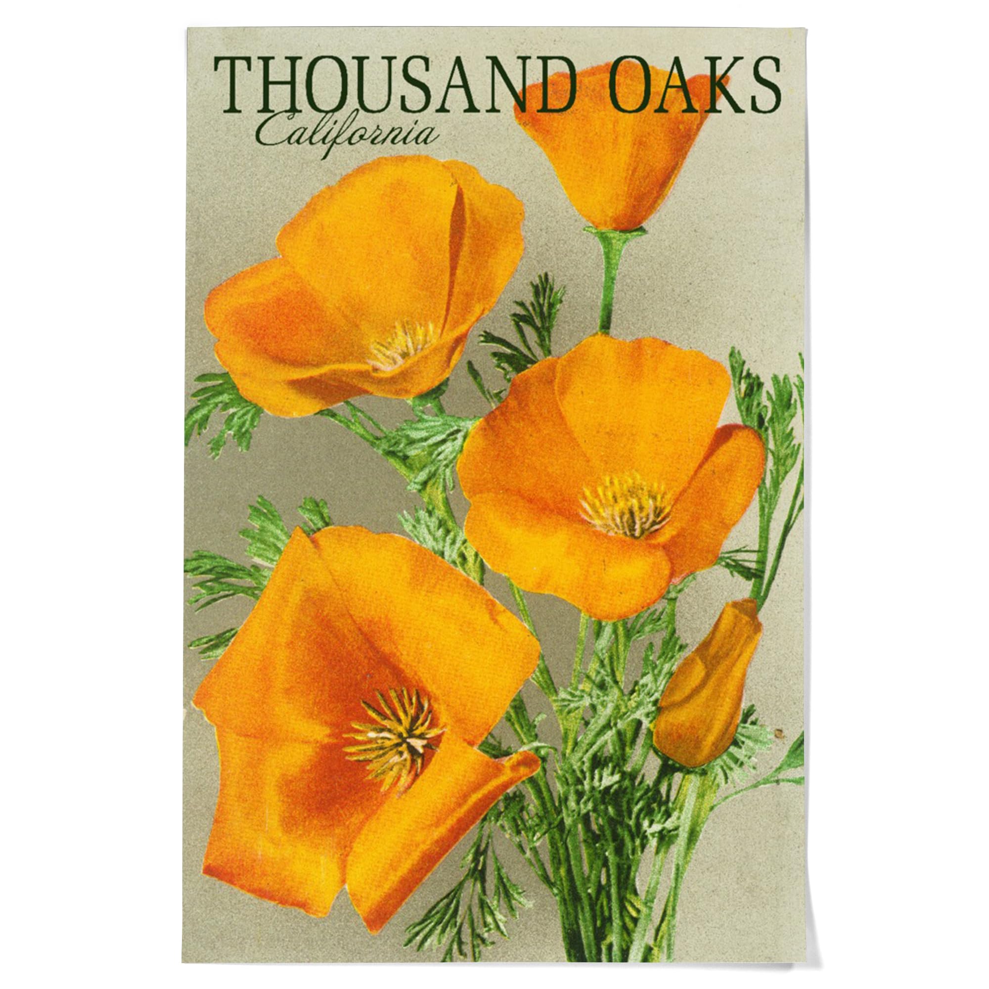 Lantern Press 16x24 Inch Giclee Art Print Wall Decor, Thousand Oaks, California, Poppy Flowers, Vintage Poster