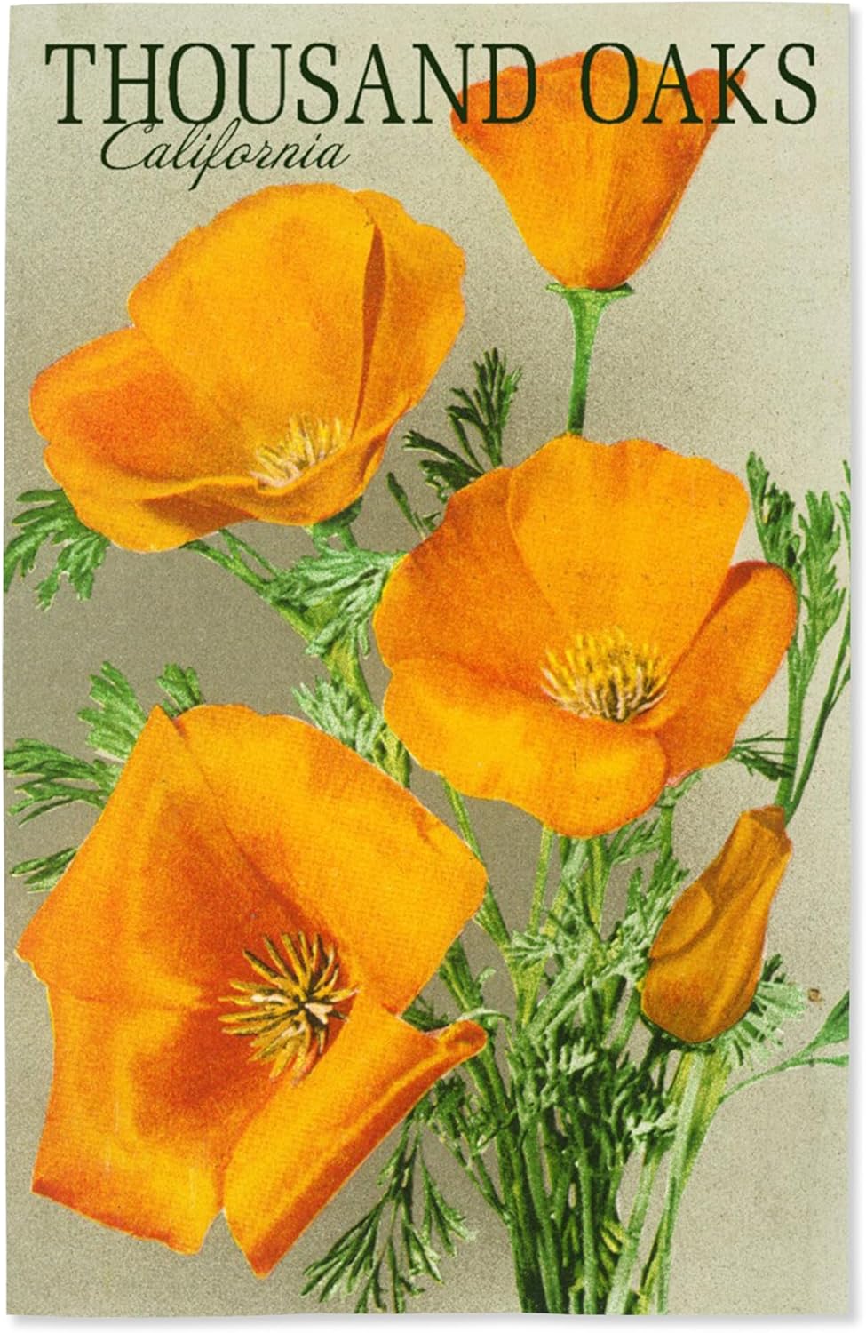 Lantern Press 16x24 Inch Giclee Art Print Wall Decor, Thousand Oaks, California, Poppy Flowers, Vintage Poster