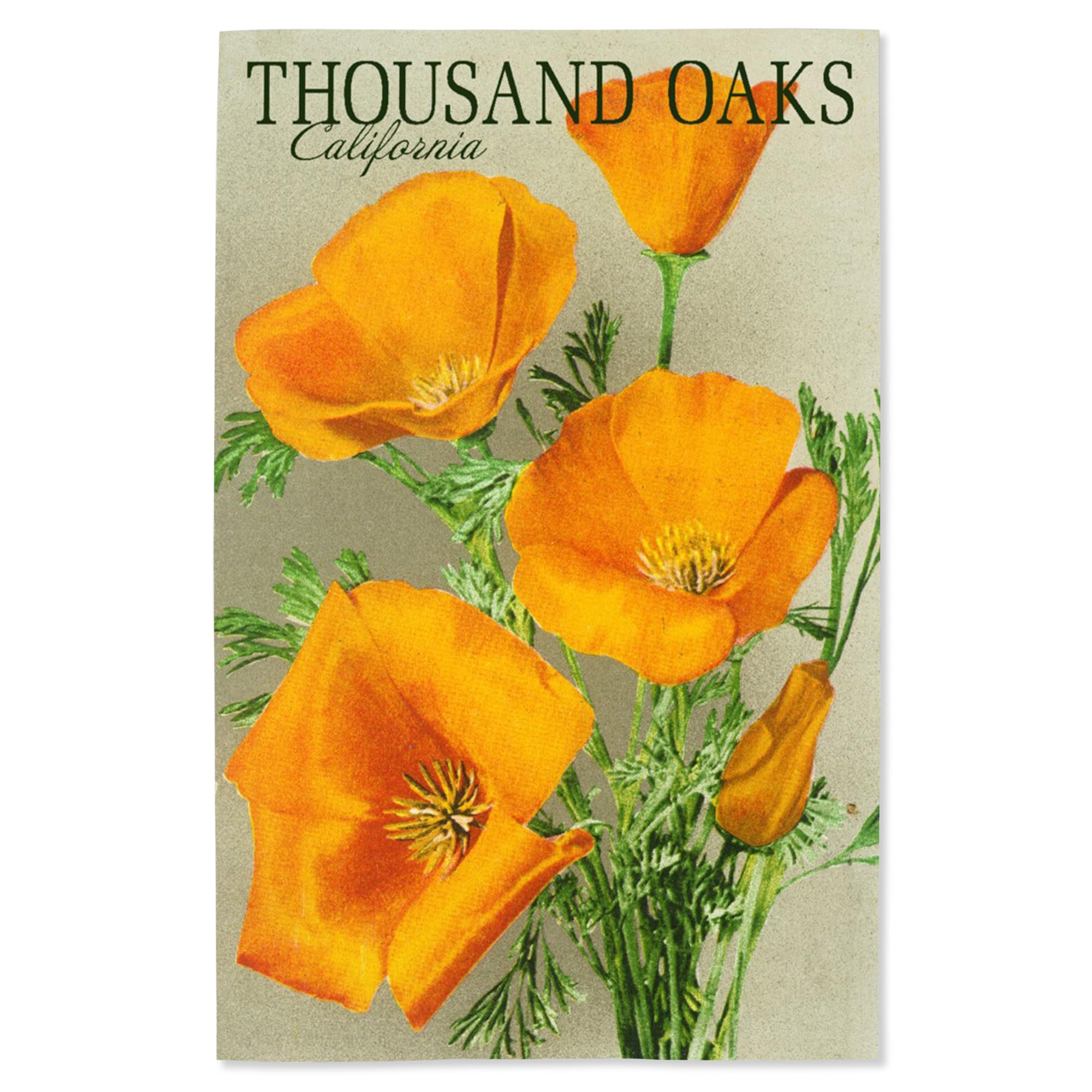 Lantern Press 16x24 Inch Giclee Art Print Wall Decor, Thousand Oaks, California, Poppy Flowers, Vintage Poster